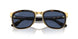 001/80 - Tortoise - Dark Blue