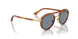 114556 - Havana - Light Blue + Ar