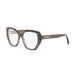 048 - Shiny Brown - DEMO