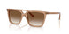 507613 - Brown - Brown Gradient