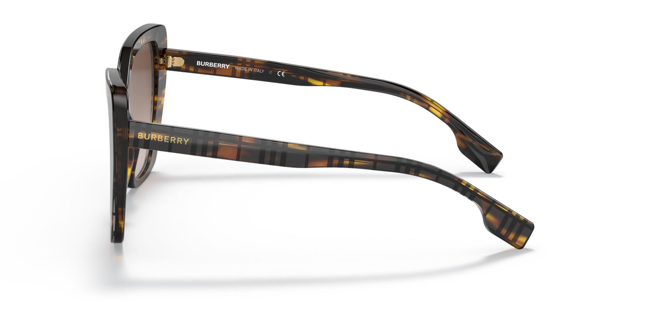 398113 - Brown - Brown Gradient