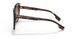 398113 - Brown - Brown Gradient