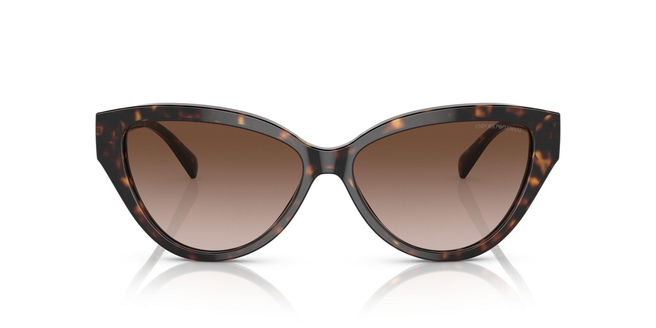 502613 - Havana - Gradient Brown