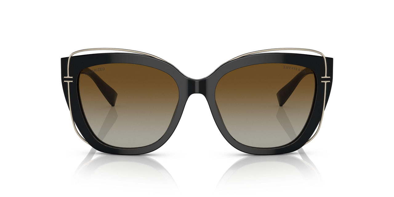 8364T5 - Black - Polar Brown Gradient