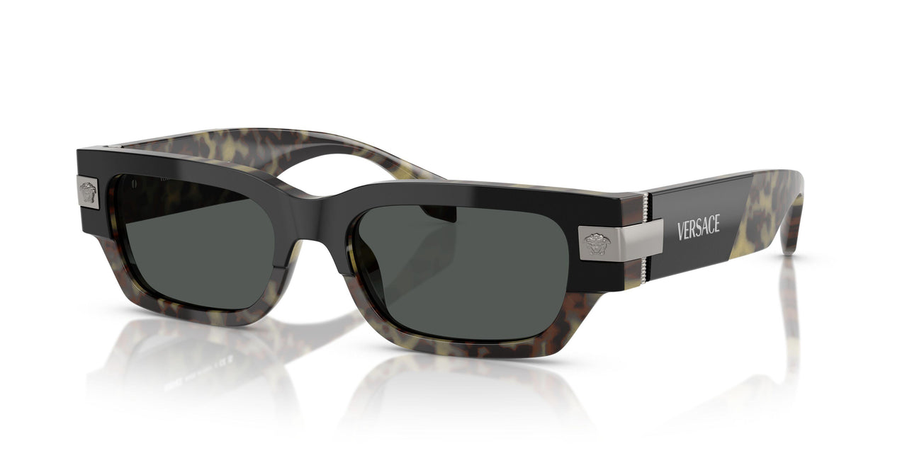 545687 - Tortoise - Dark Grey