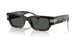 545687 - Tortoise - Dark Grey