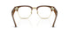 6928SB - Tortoise - Clear blue-violet Light Filter