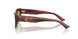 511273 - Tortoise - Brown