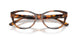 6089 - Tortoise