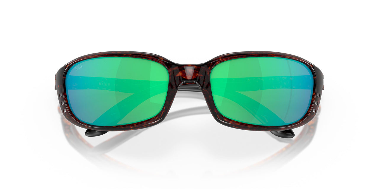 901712 - 10 Tortoise - Green Mir 580g