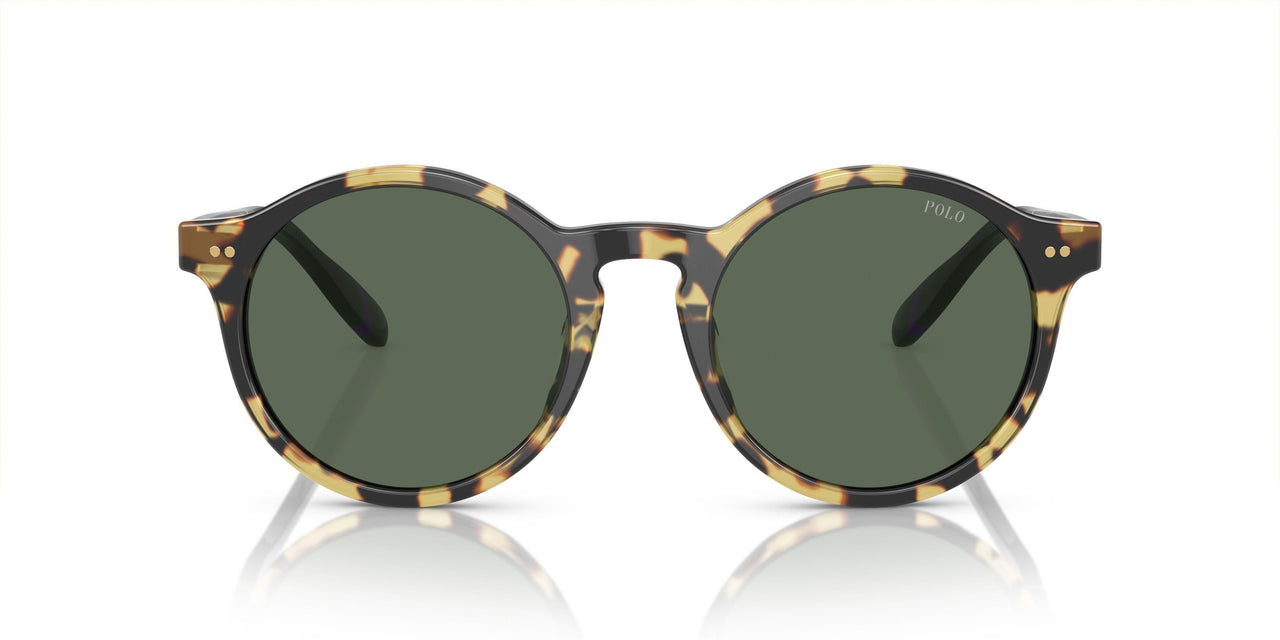 500471 - Dark Green