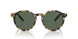 500471 - Dark Green