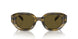 614873 - Green - Dark Brown
