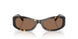 198173 - Tortoise - Brown
