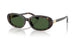 500371 - Tortoise - Bottle Green