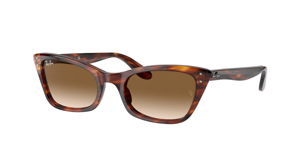 954/51 - Havana - Clear Gradient Brown