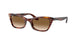 954/51 - Havana - Clear Gradient Brown