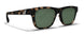 209442 Tate Sunglasses