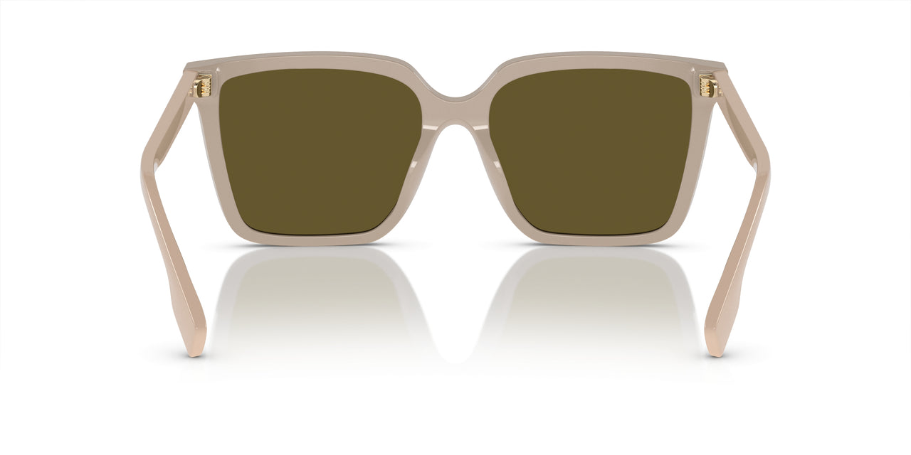 380773 - Beige - Dark Brown