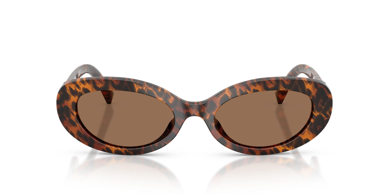 347073 - Brown - Dark Brown