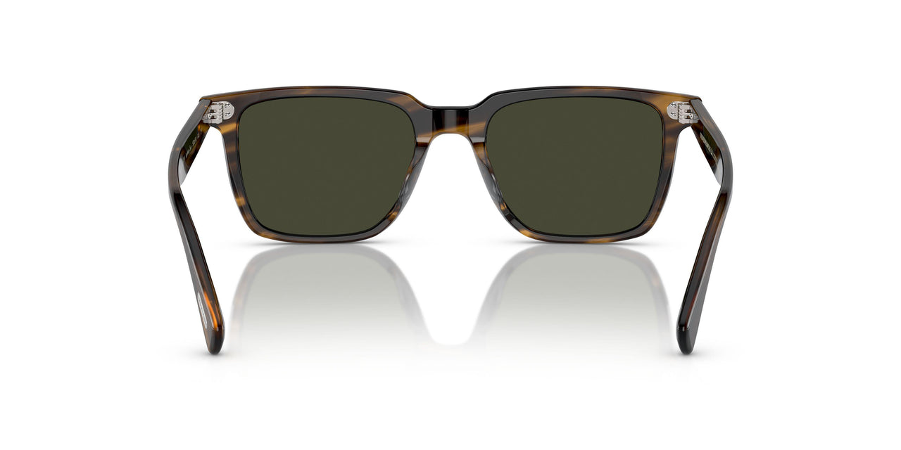 1677P1 - Brown - G15 Polar