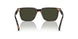1677P1 - Brown - G15 Polar