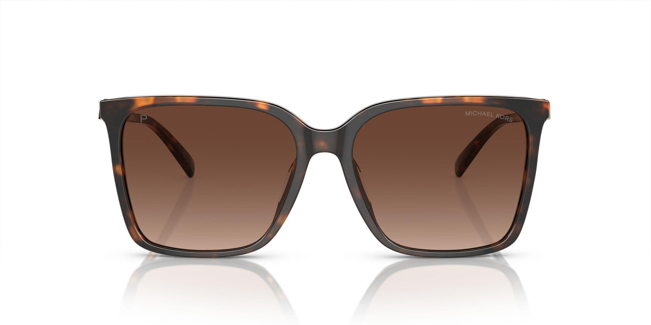 3006T5 - Tortoise - Brown Gradient Polar