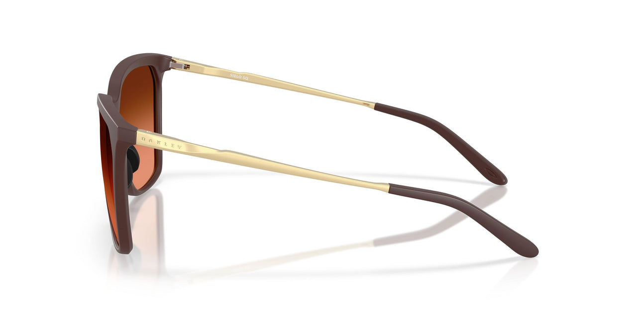 948002 - Red - Prizm Brown Gradient