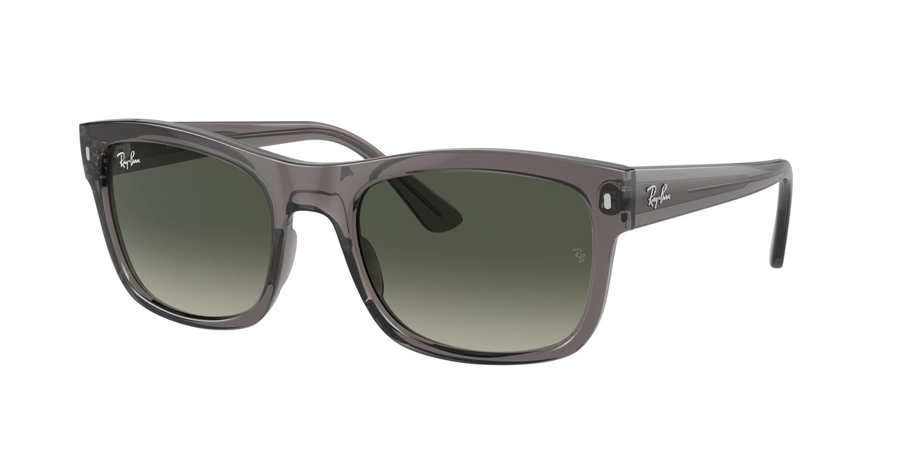 Ray-Ban 4428 Sunglasses