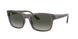 Ray-Ban 4428 Sunglasses