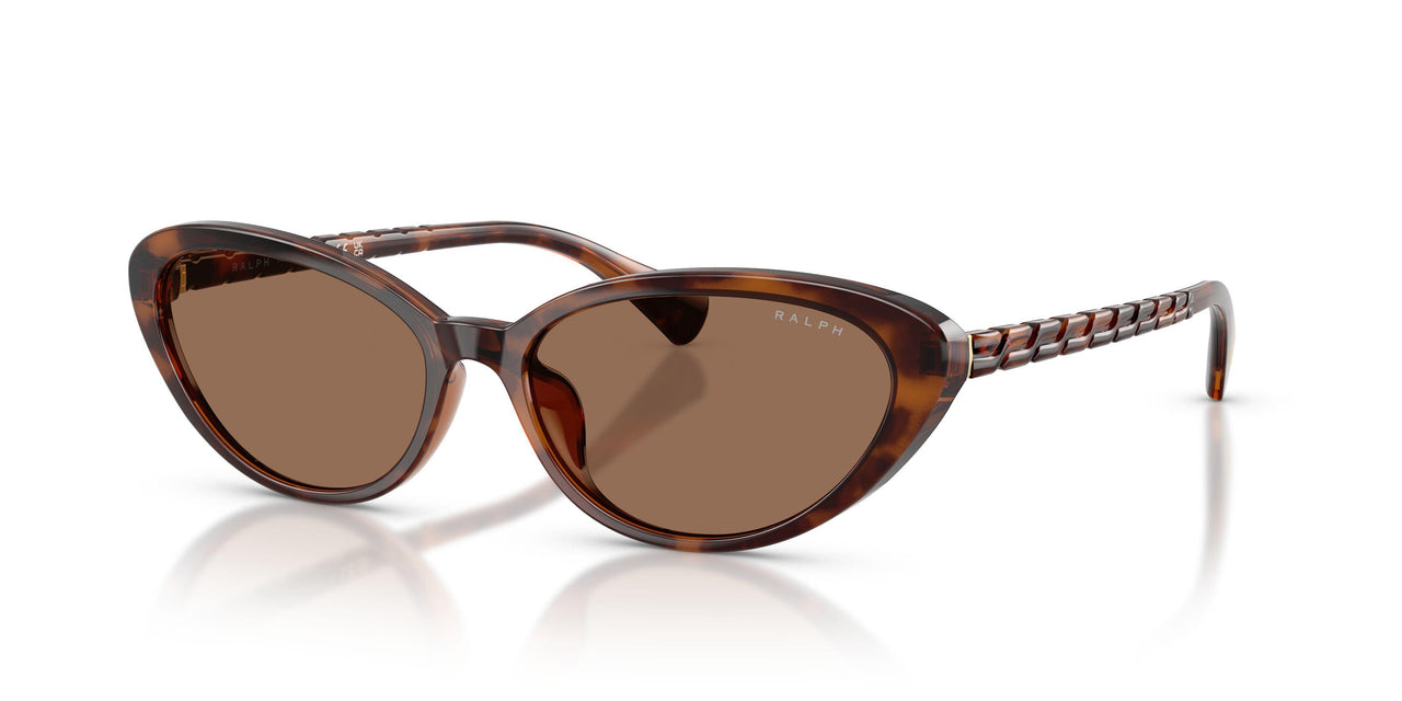 614913 - Tortoise - Brown
