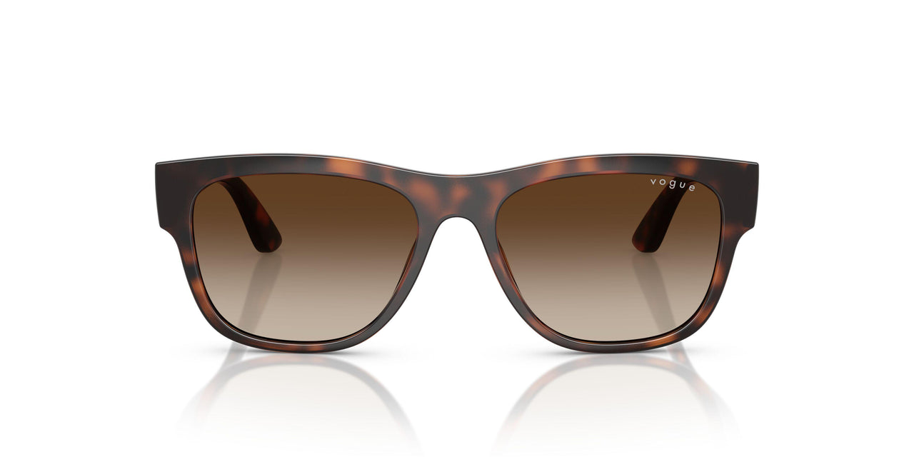 271813 - Brown - Gradient Brown