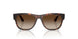 271813 - Brown - Gradient Brown
