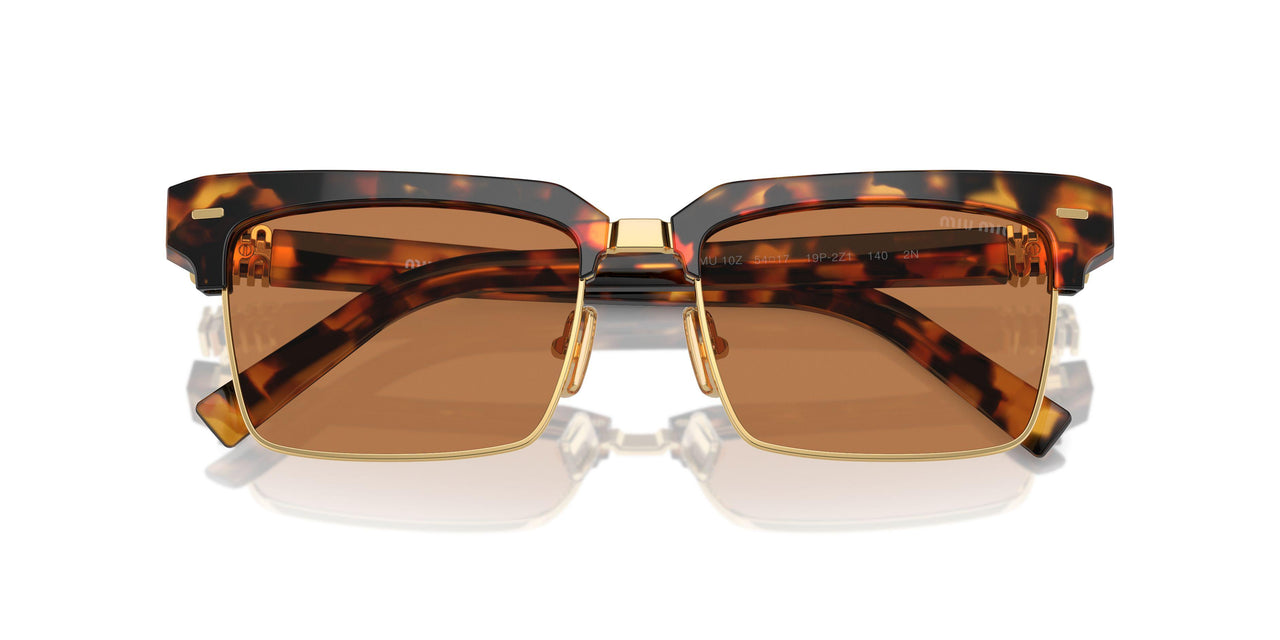 19P2Z1 - Tortoise - Brown