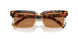 19P2Z1 - Tortoise - Brown