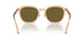 551883 - Brown - Dark Brown