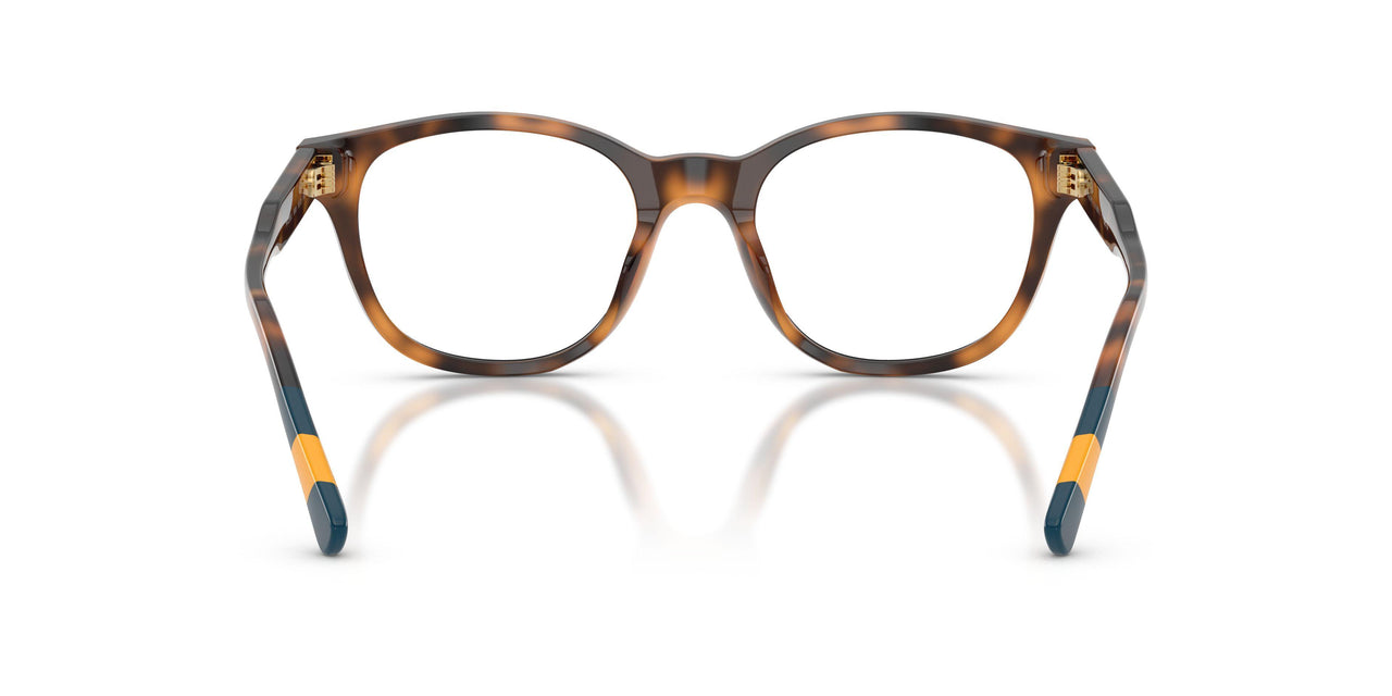 5003 - Tortoise