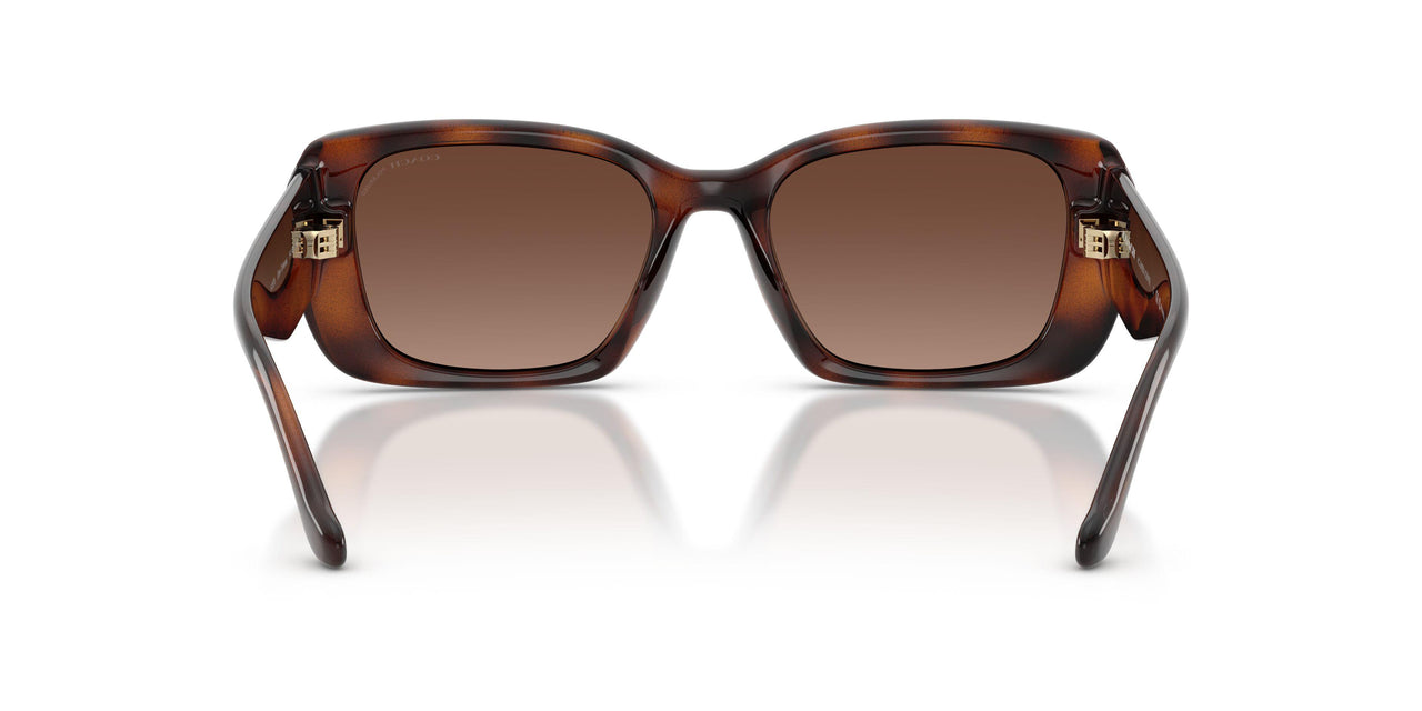 5120T5 - Tortoise - Brown Gradient Polar