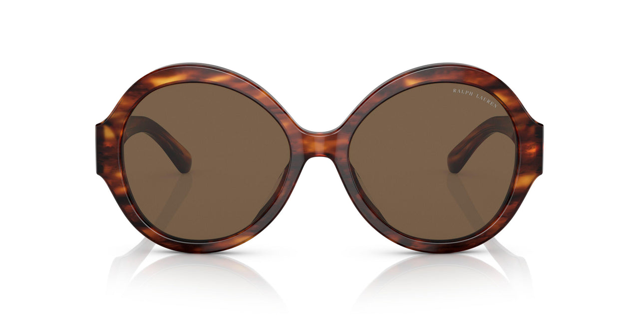 500773 - Havana - Brown