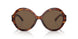 500773 - Havana - Brown