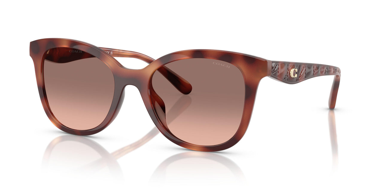 577413 - Tortoise - Brown Pink Gradient