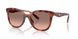577413 - Tortoise - Brown Pink Gradient