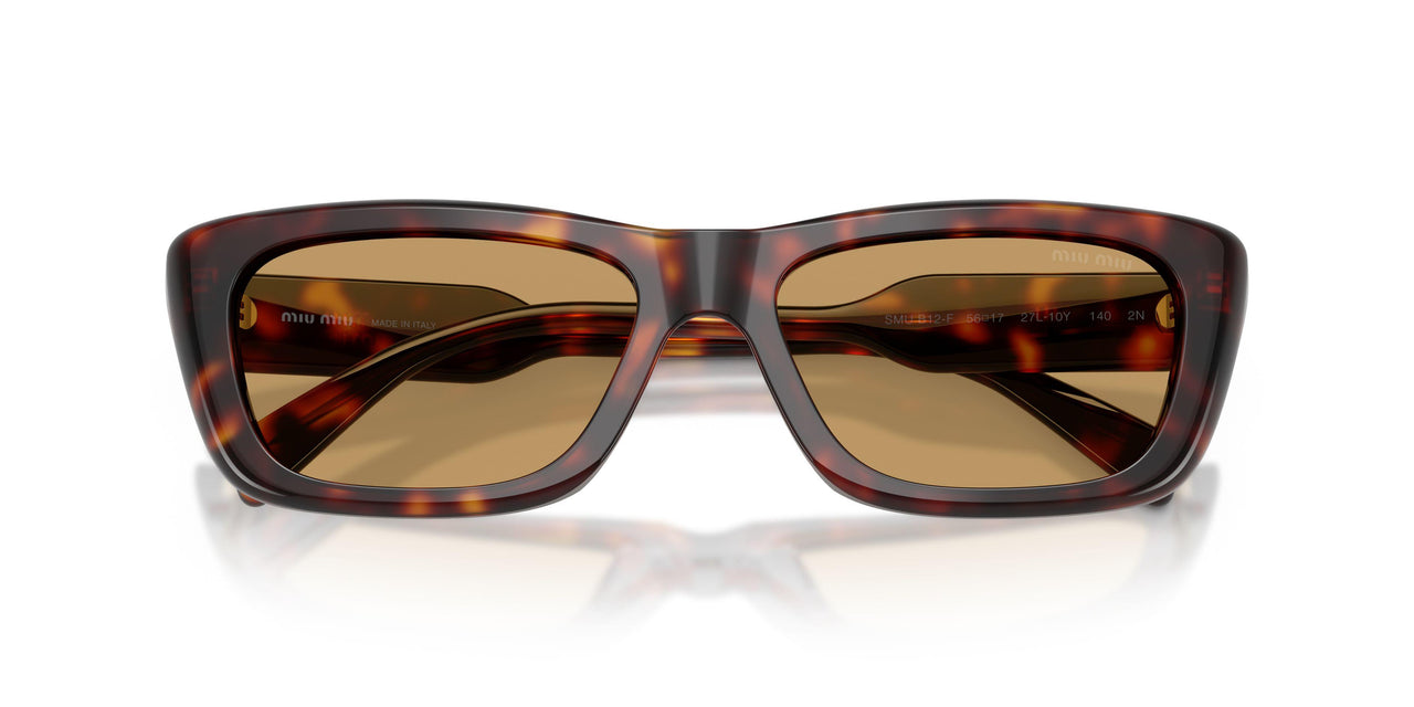 27L10Y - Tortoise - Brown