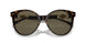 108/3 - Tortoise - Brown