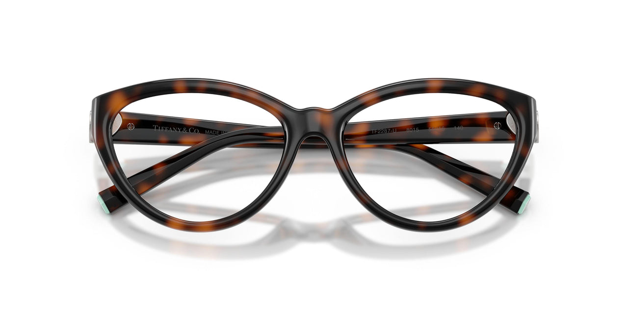 8015 - Tortoise