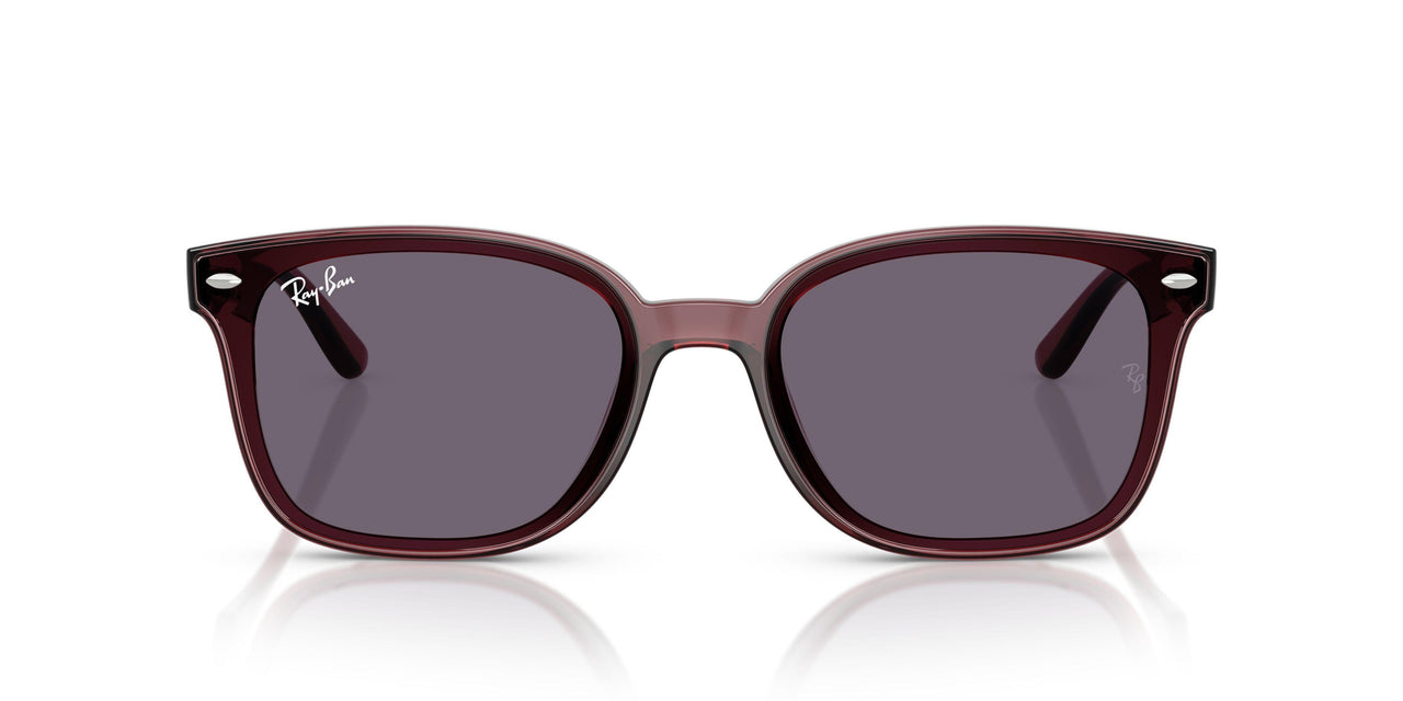 659373 - Brown - Violet