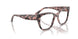 3150 - Tortoise