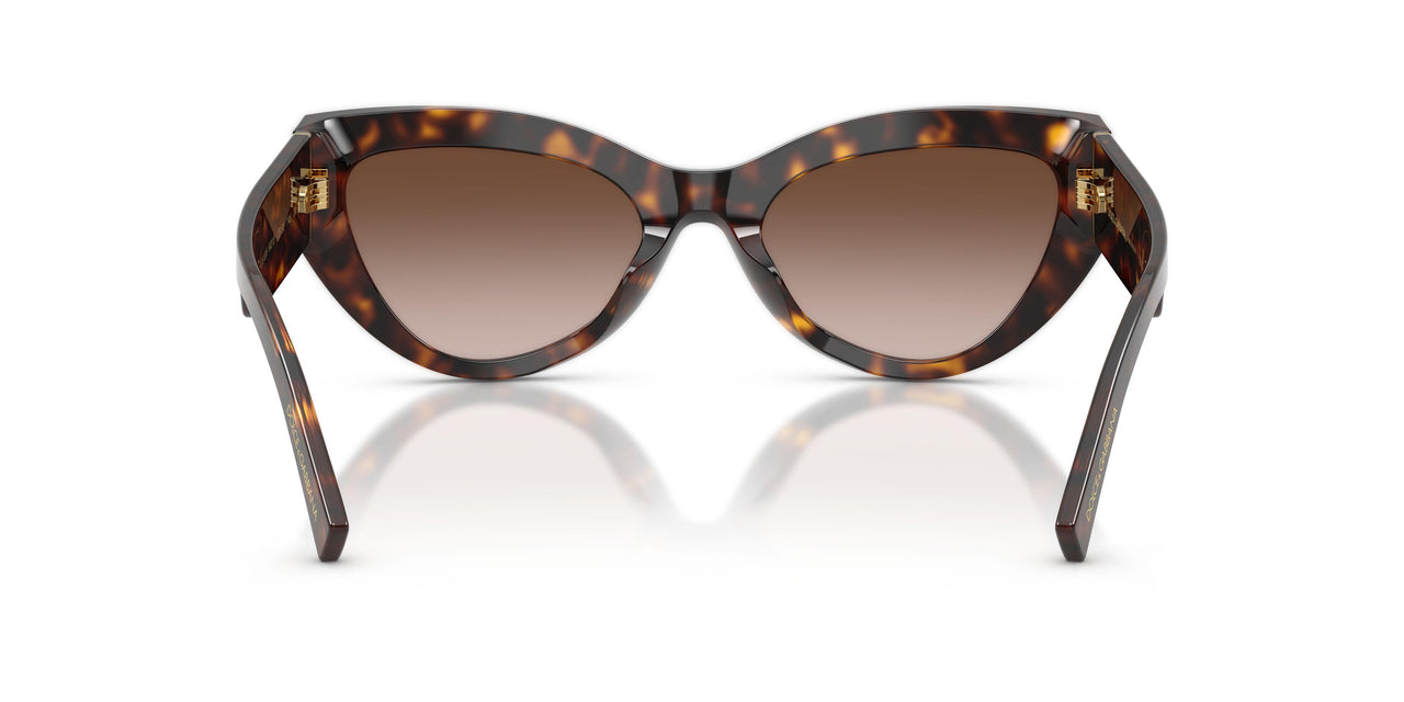 502/13 - Tortoise - Gradient Brown