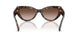502/13 - Tortoise - Gradient Brown