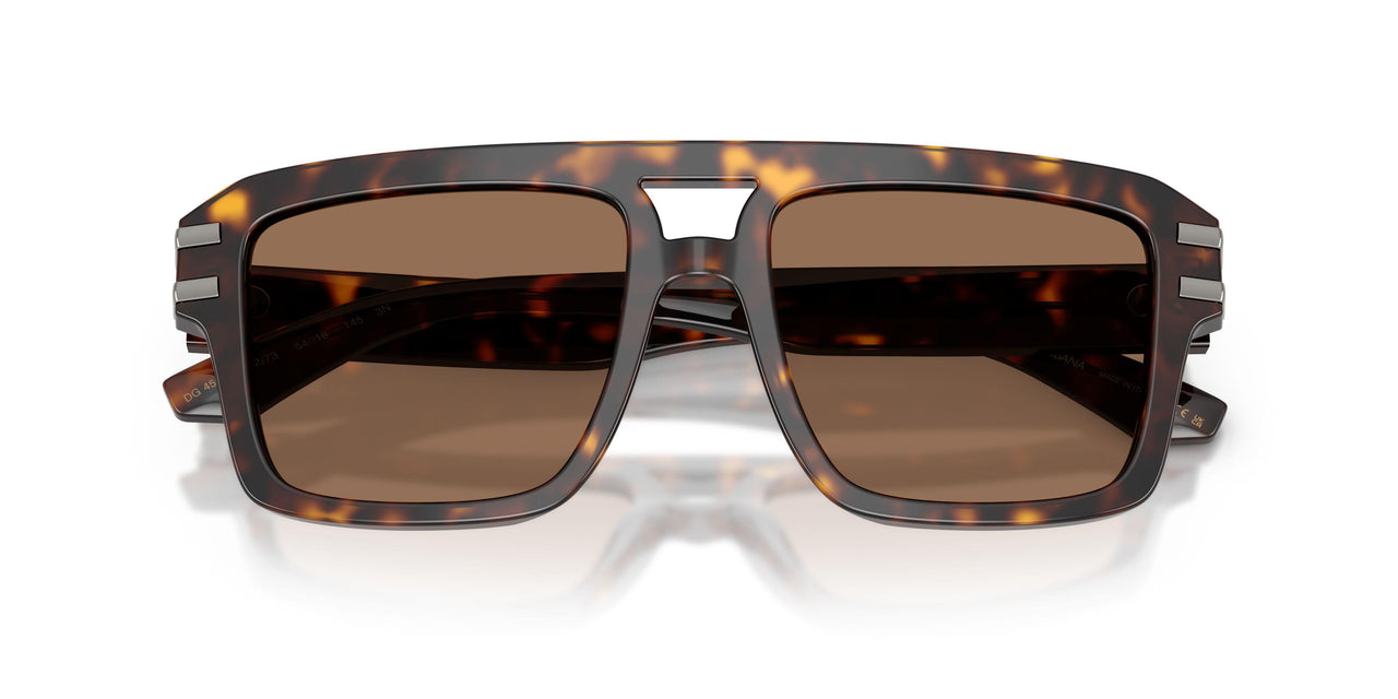 502/73 - Tortoise - Dark Brown
